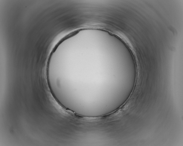 X0000111461344200907271243