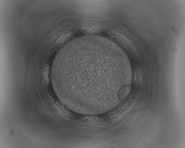 X0000111461346200907271243