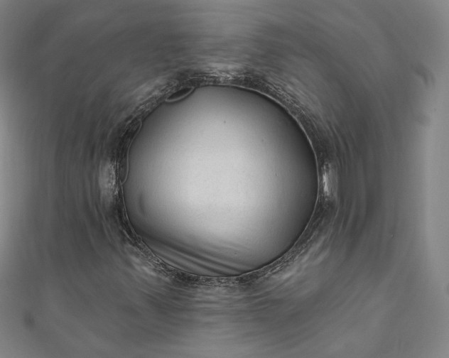 X0000111461347200907271243