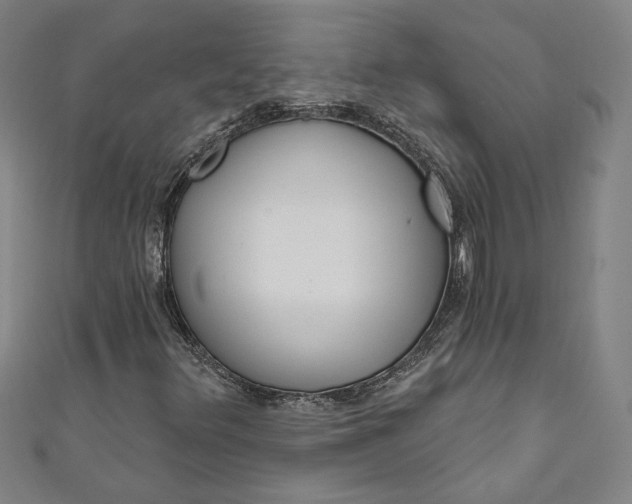 X0000111461348200907271243