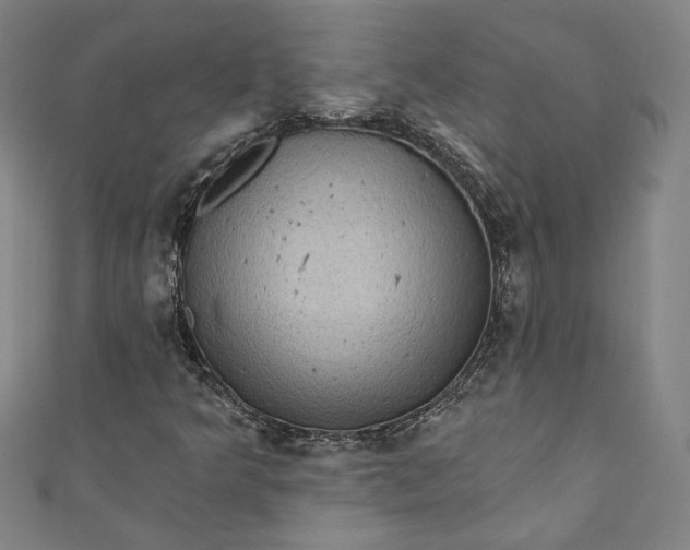 X0000111461349200907271243