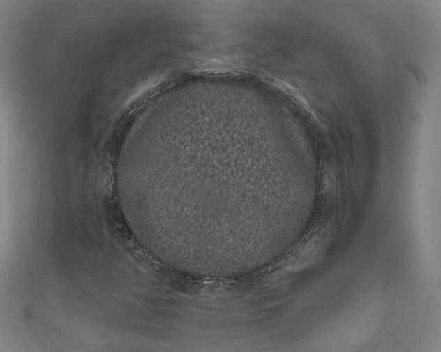 X0000111461350200907271243