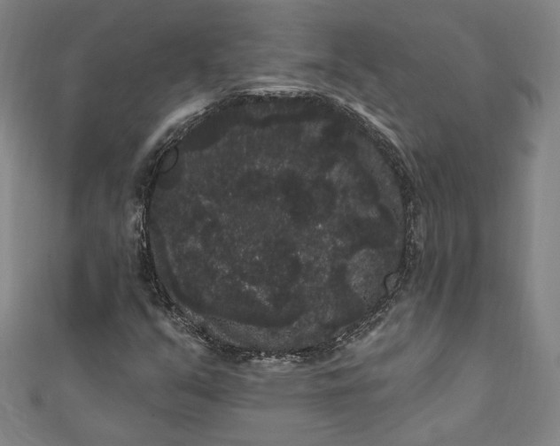 X0000111461351200907271243