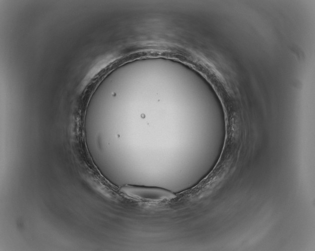 X0000111461352200907271243