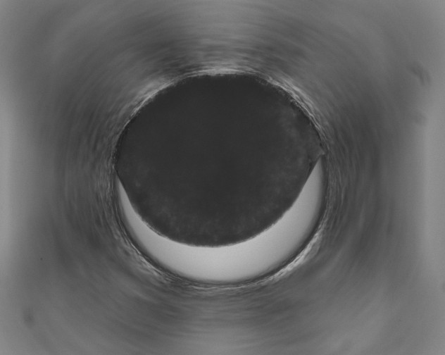 X0000111461353200907271243