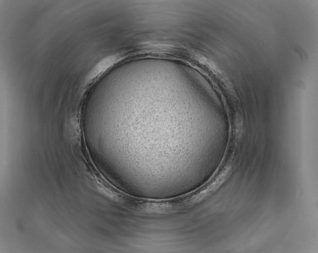 X0000111461354200907271243