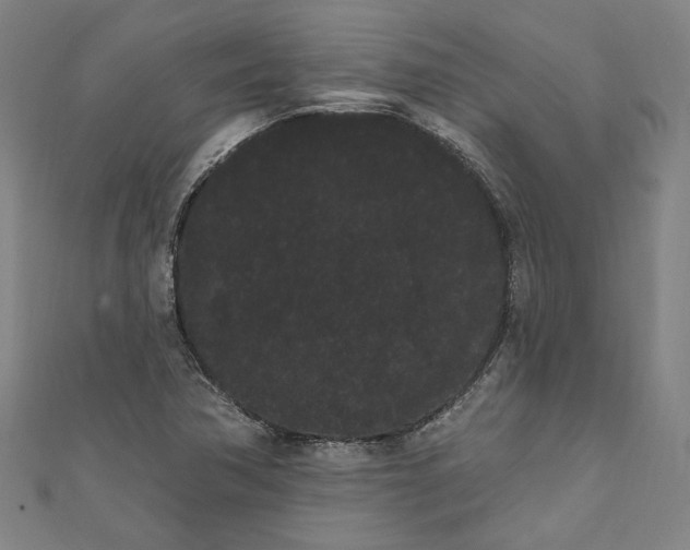 X0000111461362200907271242