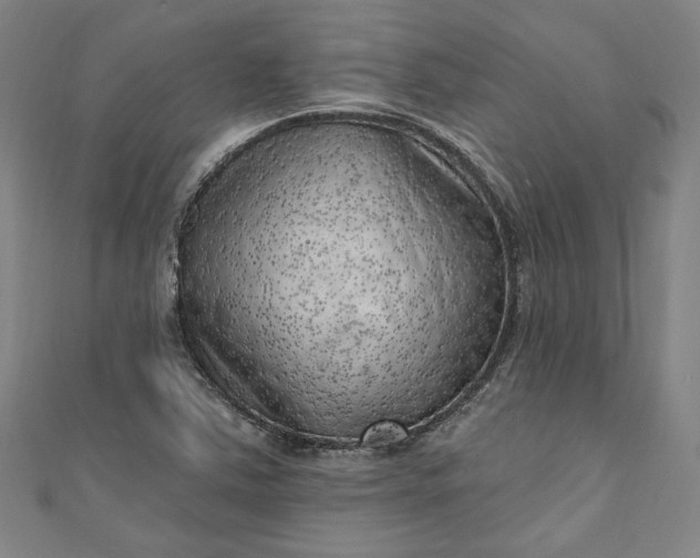 X0000111461363200907271242