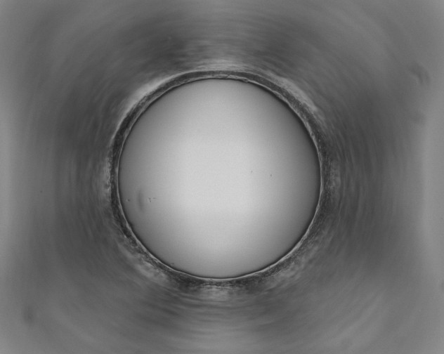 X0000111461364200907271242