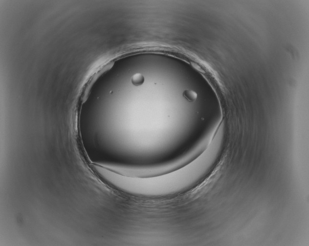 X0000111461365200907271242