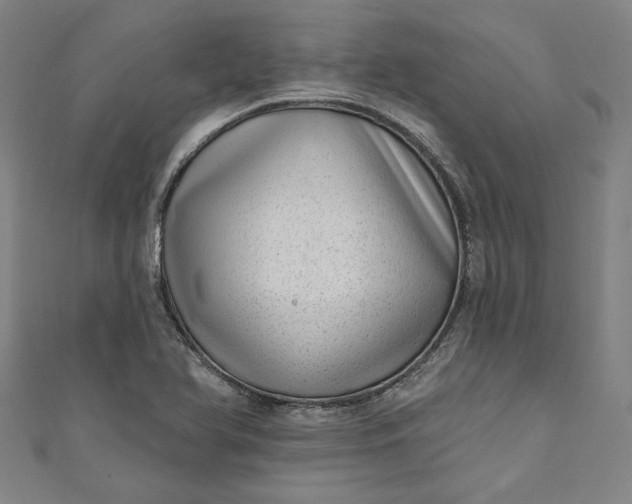 X0000111461366200907271242