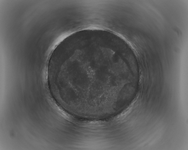 X0000111461367200907271242