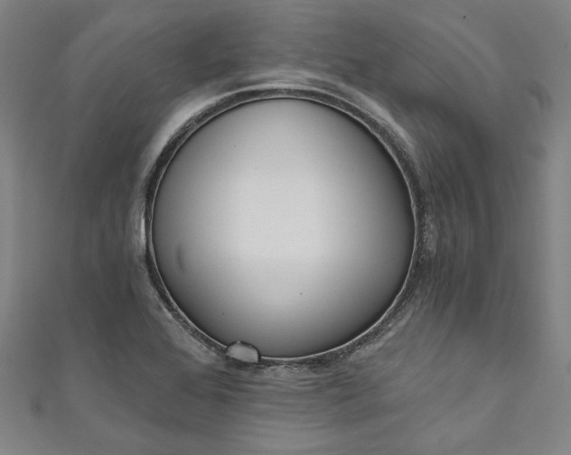 X0000111461368200907271242