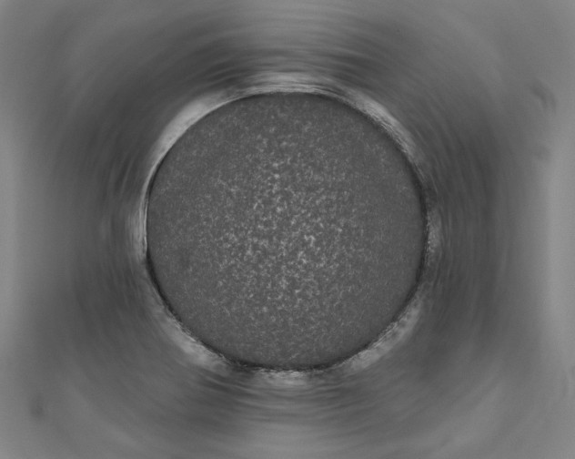 X0000111461370200907271242