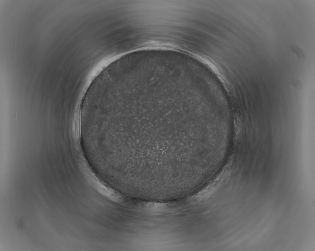 X0000111461371200907271242