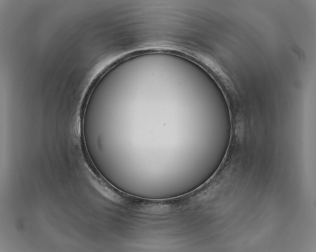 X0000111461372200907271242