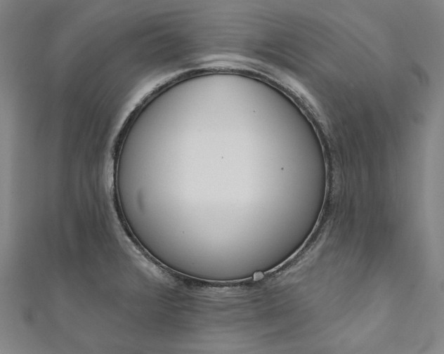 X0000111461376200907271242