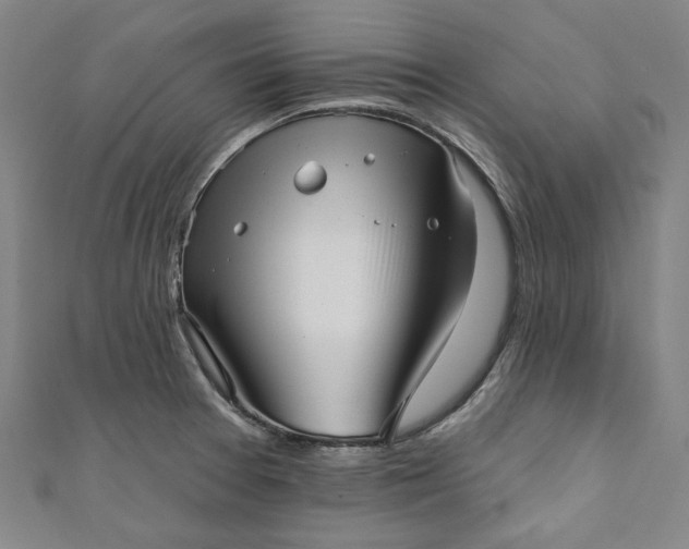 X0000111461377200907271242