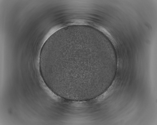 X0000111461378200907271242