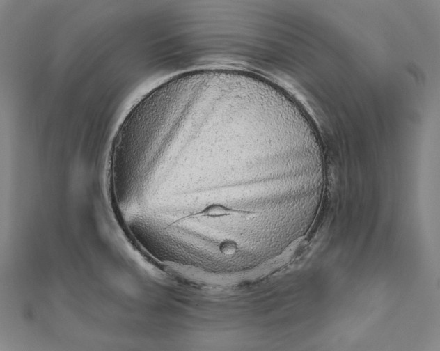 X0000111461379200907271242