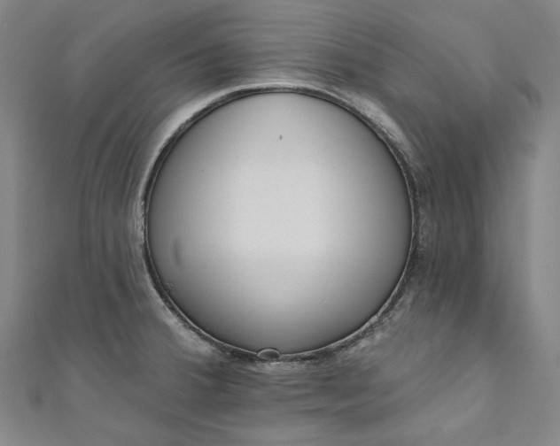 X0000111461380200907271242