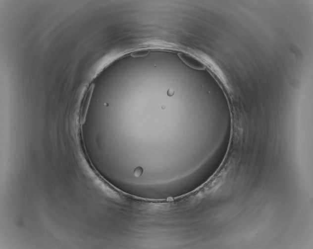 X0000111461381200907271242