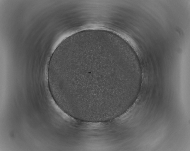 X0000111461382200907271242