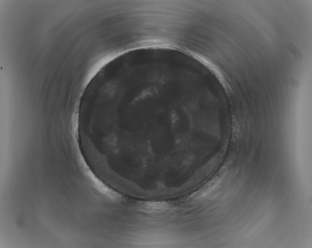 X0000111461383200907271242