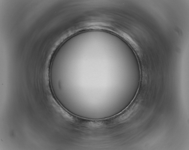 X0000111461384200907271242