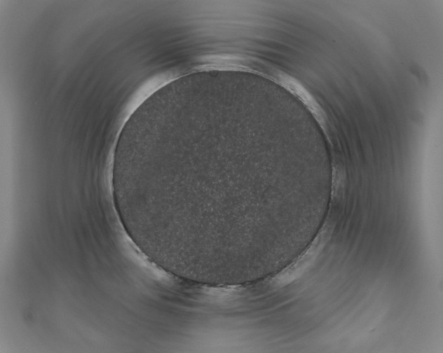 X0000111461386200907271242