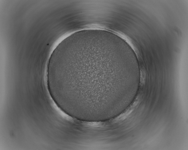 X0000111461387200907271242