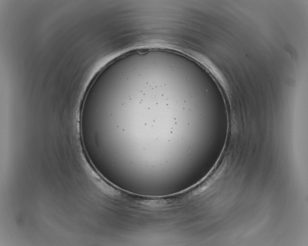 X0000111461388200907271242