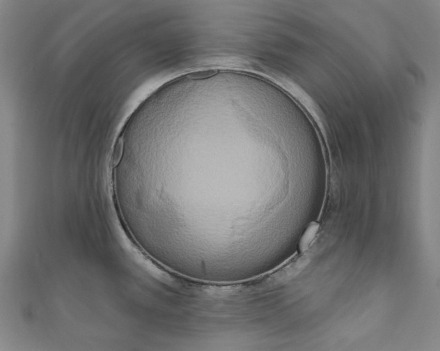 X0000111461389200907271242