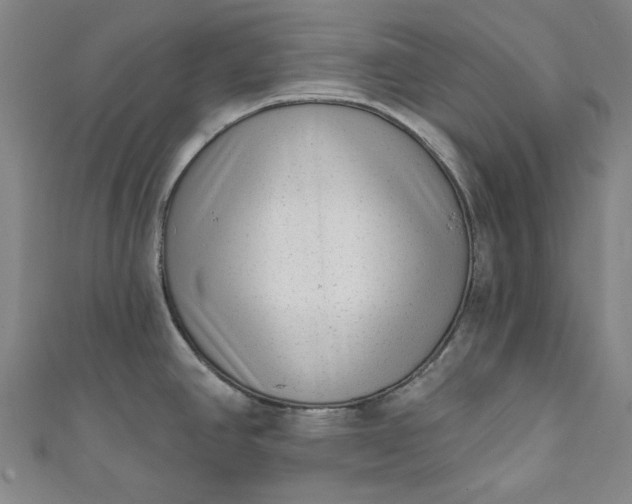 X0000111461390200907271242