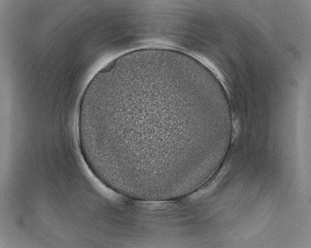 X0000111461391200907271242