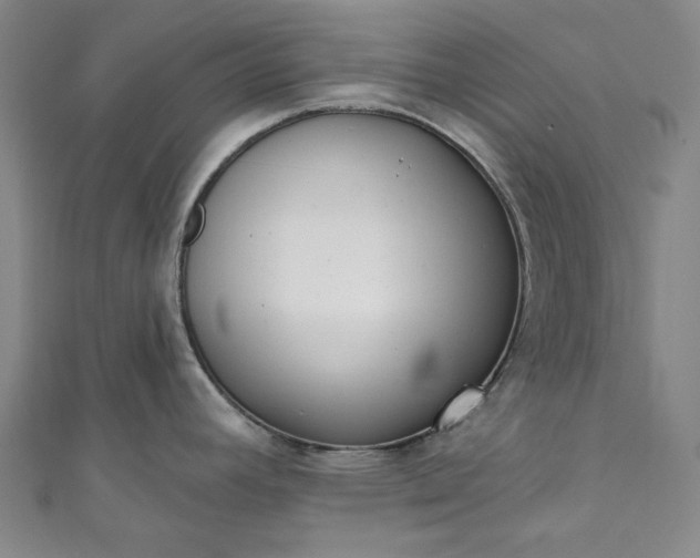 X0000111461392200907271242