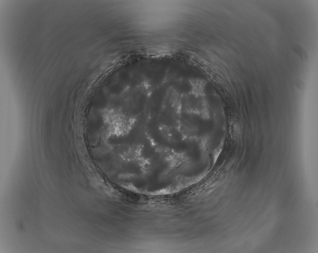 X0000111461393200907271241