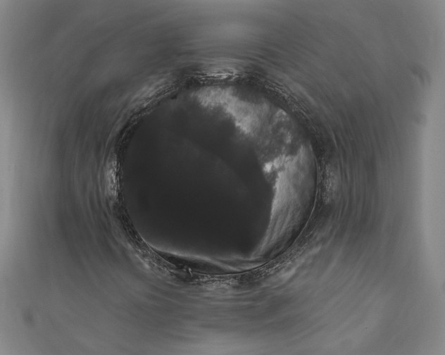 X0000111461394200907271241