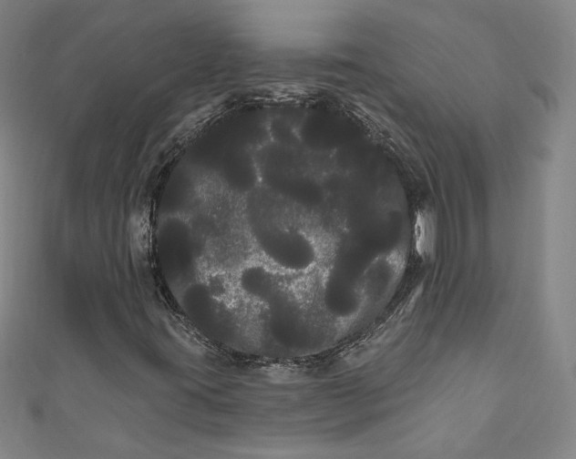 X0000111461395200907271241