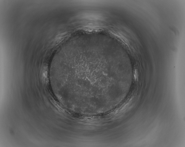 X0000111461396200907271241