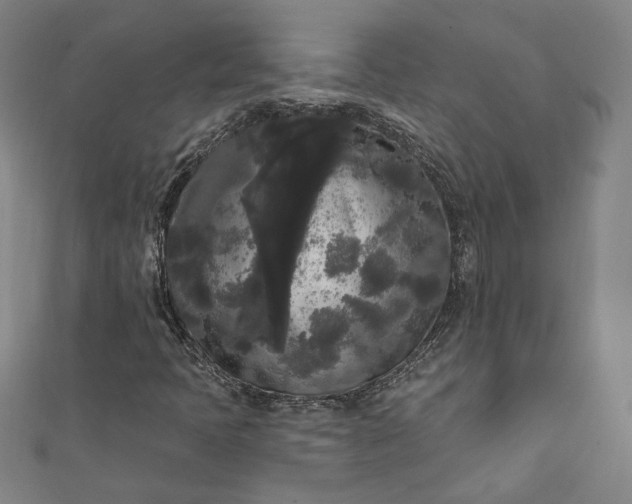 X0000111461397200907271241