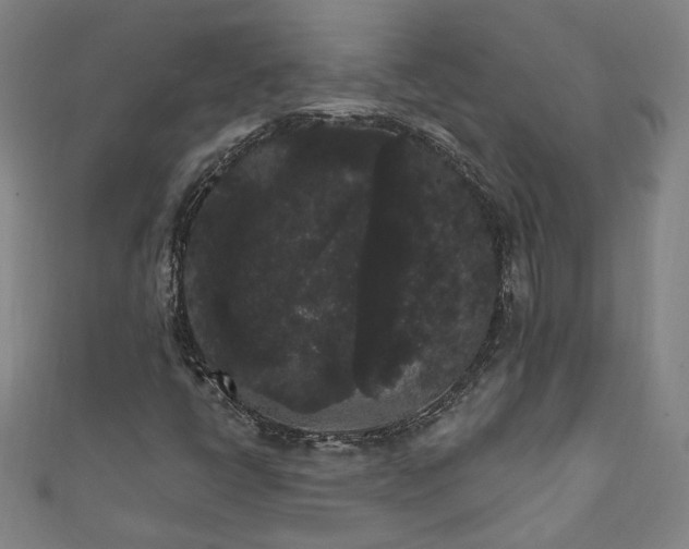 X0000111461398200907271241