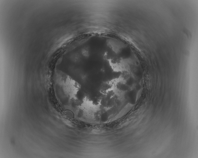 X0000111461399200907271241