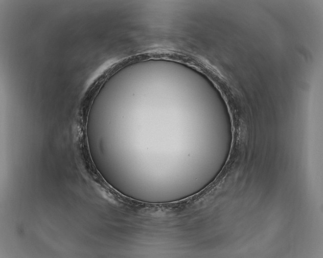 X0000111461400200907271241