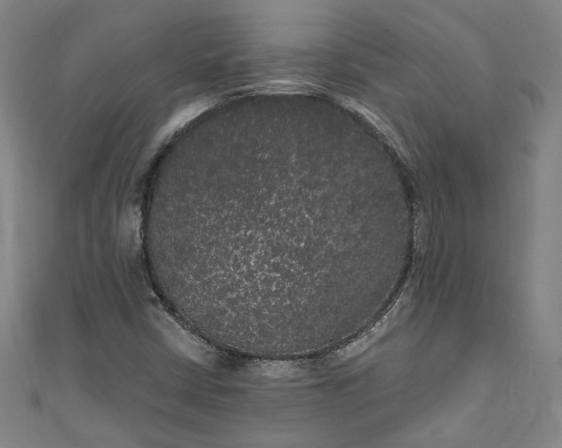 X0000111461402200907271242