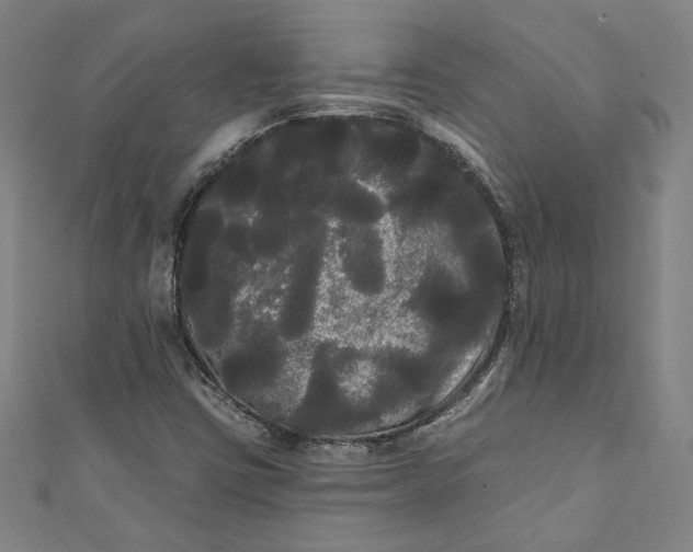 X0000111461403200907271242