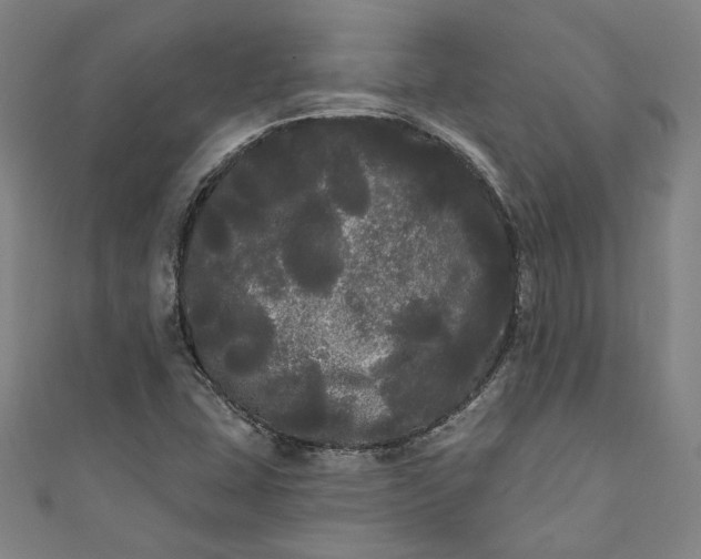 X0000111461407200907271242