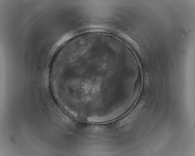 X0000111461411200907271242