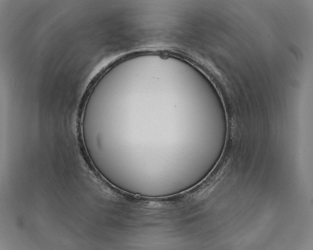 X0000111461412200907271242