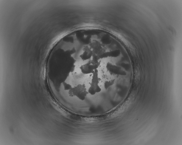 X0000111461413200907271242